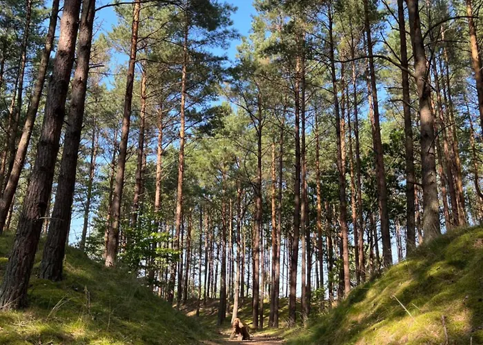 Semesterbostad Caloroczny Grecki Nad Morzem Odargowo